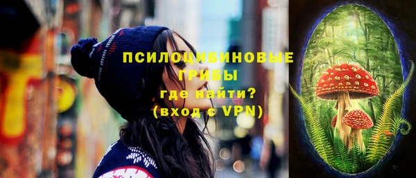 не бодяженный Алзамай